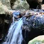 Am Wald Mit Garten Apartman