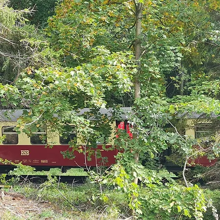 Am Wald Mit Garten
